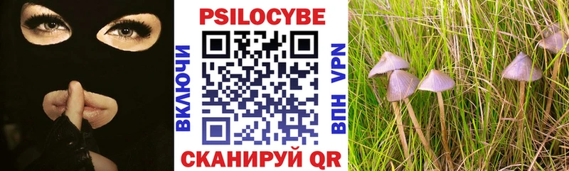 Псилоцибиновые грибы GOLDEN TEACHER  Горбатов 
